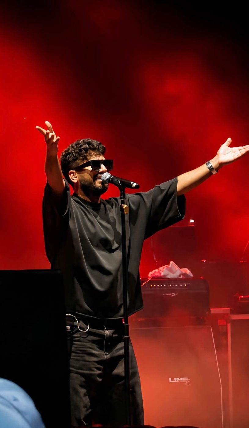 Live concert — Artist on stage